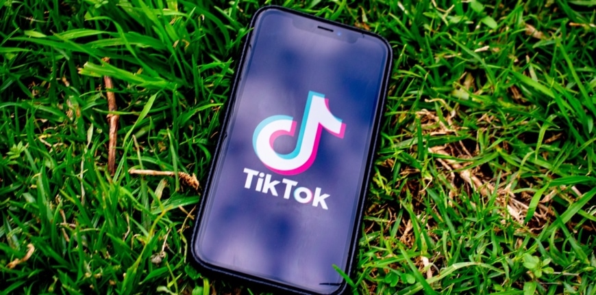 abonnés tiktok en 2024